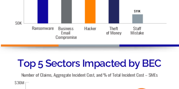 How Are SMEs Being Affected by Cyber Risk?